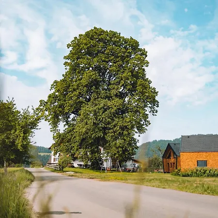 Dağ evi Lindenhof Scheidegg